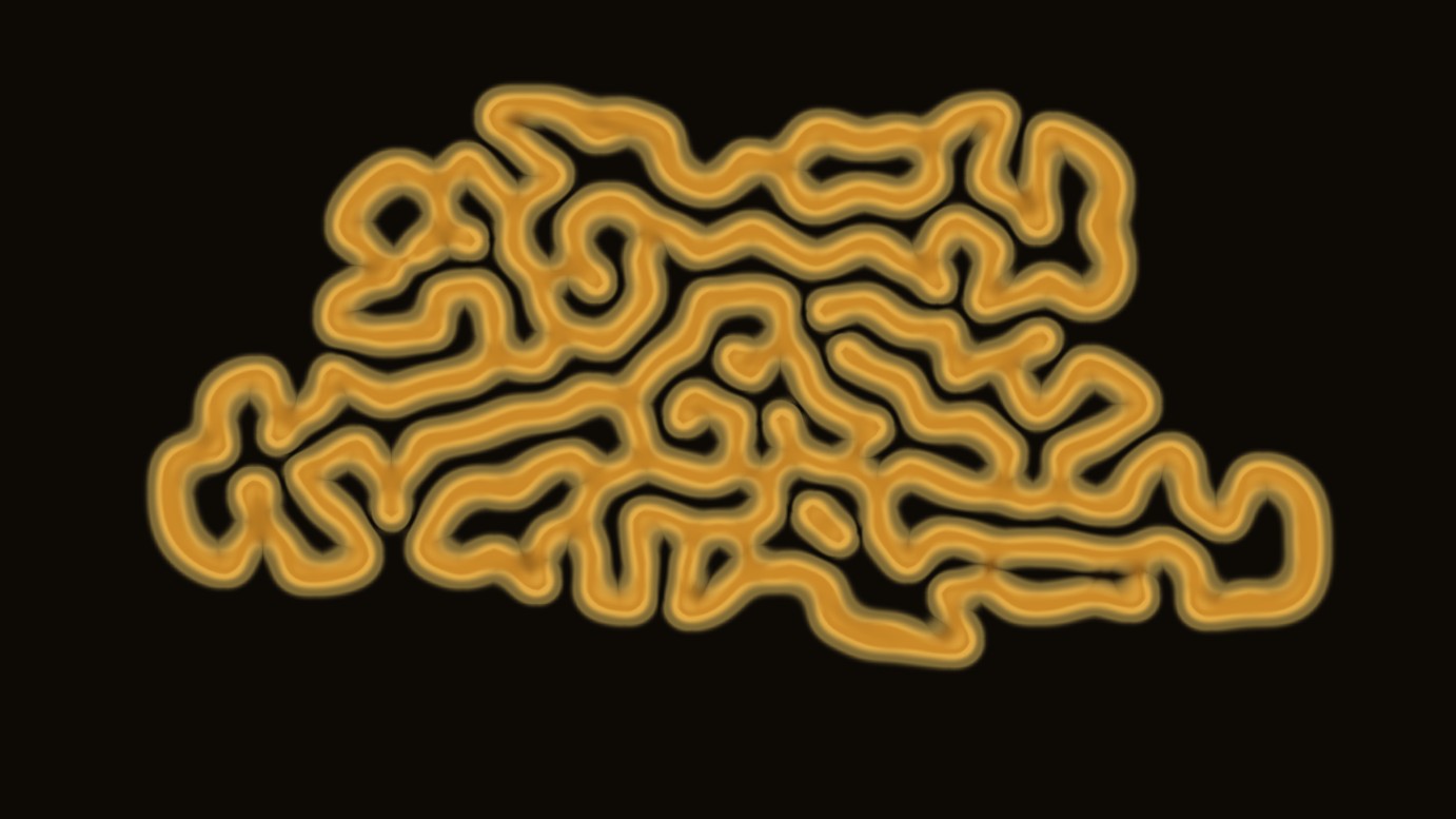 The Morphogen
